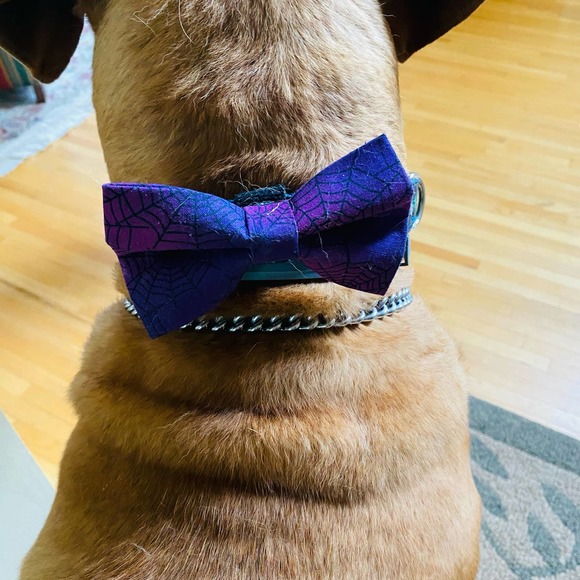 Halloween Dog Bow Ties Velcro - Picture 5 of 5